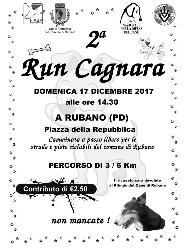 2017 12 17 Runcagnara