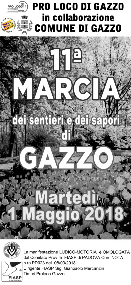 gazzo1